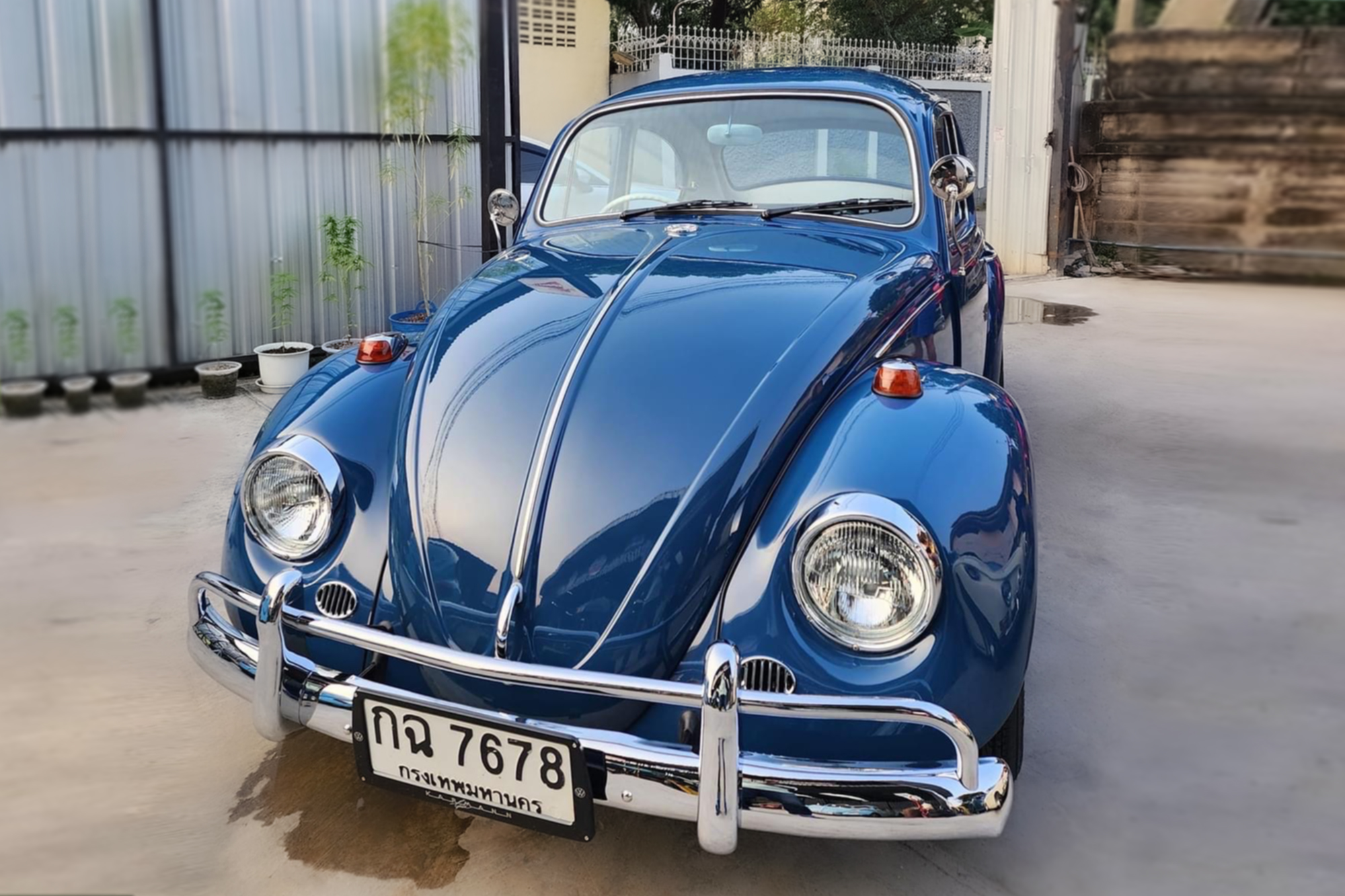 VOLKSWAGEN Beetle